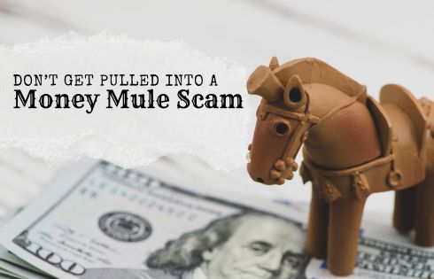 September Scam Awareness: Don’t Get Pulled into Money Mule and Text Scams